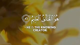 Hazza Al Balushi - Quran Tilawat -  WhatsApp status - Beautiful Quran recitation