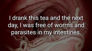 Drink This Tea to Get Rid of Worms and Parasites in the Intestines