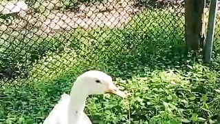 Саша тебя могут убить....