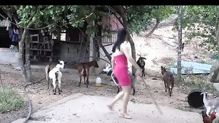 FOLLOWING RENI'S DAILY ACTIVITIES OF GOAT FEEDING AND COOKING