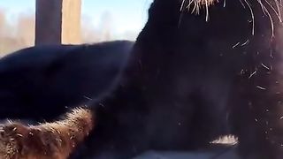 Its-all-fun-until-someone-gets-eaten-.