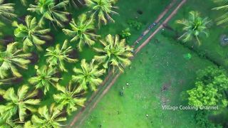 NATURAL JUICE | Red Tender Coconut Sarbath | Healthy Juice Making in Village | Summer Health Drinks 2