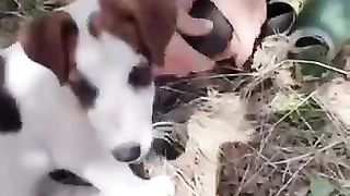 Ukraine Russia War | Russian Airborne Prepares Grads | Playful Moment with a Dog | RCF