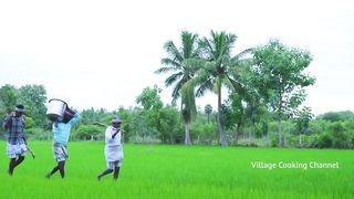 BIRYANI | QUAIL BIRYANI Made with 200 Quail | Marriage Biryani Cooking In Village | Biryani Recipe