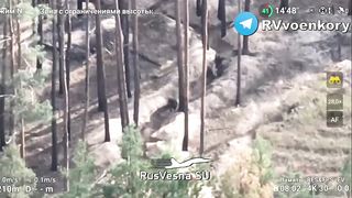 Ukraine Russia War | Russian Artillery Targets UAF Trench with Infantry | RCF