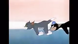 Tom___Jerry___Jerry_in_Full_Force_????___Classic_Cartoon_Compilation___@WB_Kids(144p).