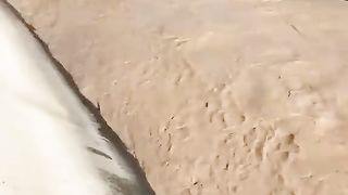 SAVING A COW THAT FALLS INTO THE STREAM...