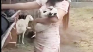KUMPULAN FUNNY VIDEO 2