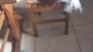 My kitten Mickey playing.