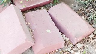 Funny orange cat video febspot