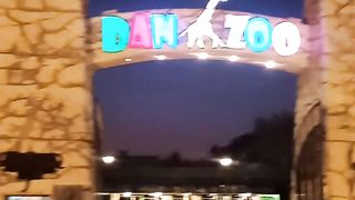 Day and night zoo ....