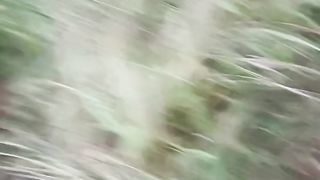 viewchina