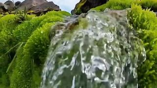 Natural video 84