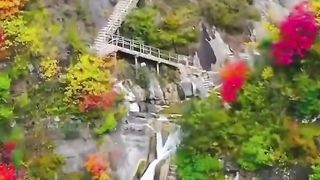 Natural video 85