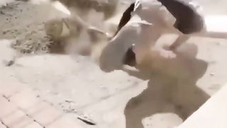 Watch The Video Until The End ???????????? Hilarious #funny #viral #shorts #fails