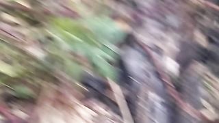 Animal's lover 274