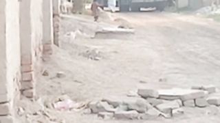 Two dumpers are crossing over my village street