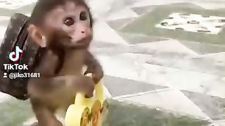 Kgboy 2