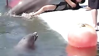 Woman gets attacked by a ferocious dolphin.