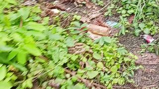 Jebakan burung dapatnya tikus
