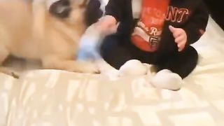 Baby's videos