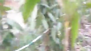 flowering vanilla plant