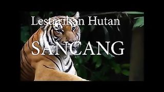 Legend of the Leuweung Sancang nature reserve