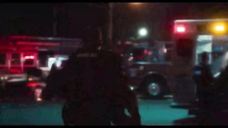 Muzzle 2020 - Theatrical Trailer