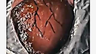 Funny video for heart cake