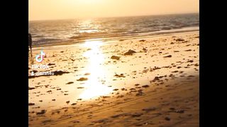 video 258