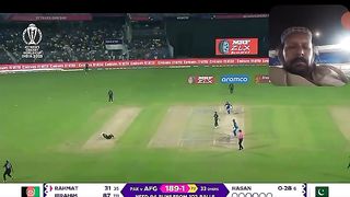 Cricket 73