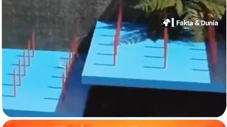 The craziest trap