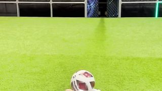 A Lifetime of Goalkeeping_ Skills Across the Ages, From 1 Month to 70 Years????