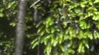 Beautiful nature 122