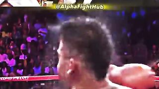 BoxingKnockoutZone" or "PunchPerfectTV" 2