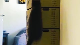 Look what they do