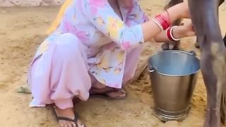 Over confidance tu horya  #shorts  #trending  #meenu  #overconfidence