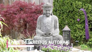 ✅Música relaxante para Yoga, acalma o corpo e equilibra o espírito, alivia o estresse e durma bem