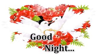 X2Download.app-Good night.