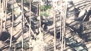 Ukraine Russia War | Russian Artillery Shelling Ukrainian Positions in Serebriyansk | RCF