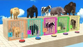 Cow Mammoth Elephant Gorilla Lion Hippo Guess The Right Key ESCAPE ROOM CHALLENGE Animals Cage Game
