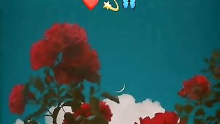 broken heart stattus