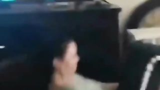 cats imitating humans