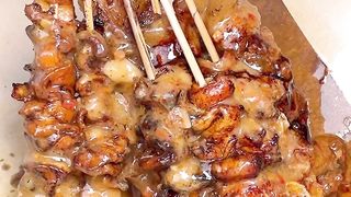 Indonesia food "sate kikil & kulit"