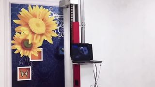Wall printer machine