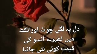 Koi ni jannta