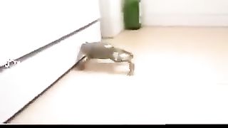 One Video Millions of views