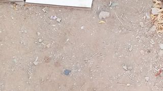 Cute funny orange cat near me