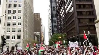 free palestine