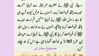 اسلامی معلومات 455